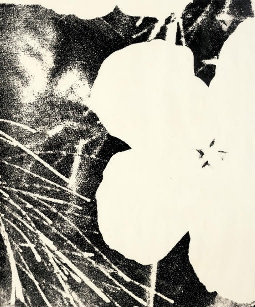 Andy Warhol - Flowers F.S. IIIA 14 (C), 1978