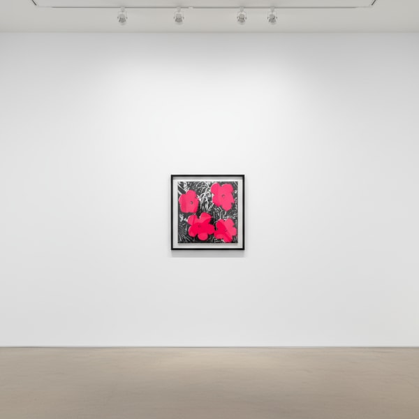 Andy Warhol - Flowers Pink, 1964