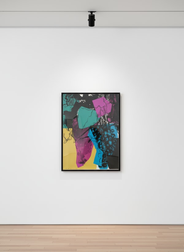 Andy Warhol - Grapes F.S. II 195, 1979