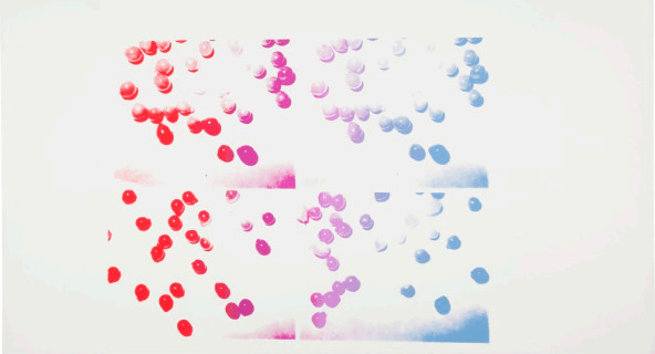 Andy Warhol - Grapes, 1978-79