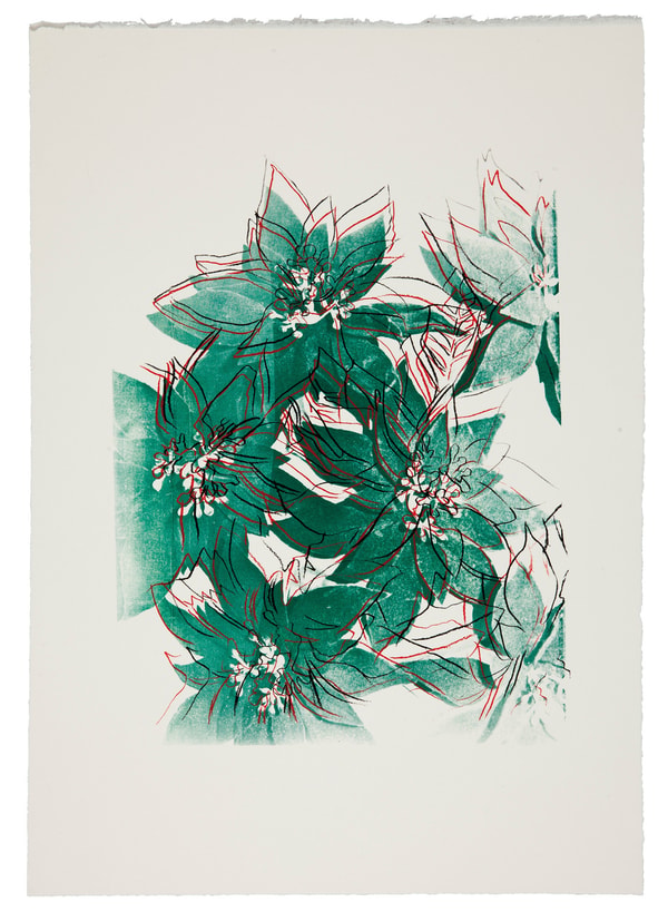 Andy Warhol - Poinsettias F.S. IIIA 51, 1983