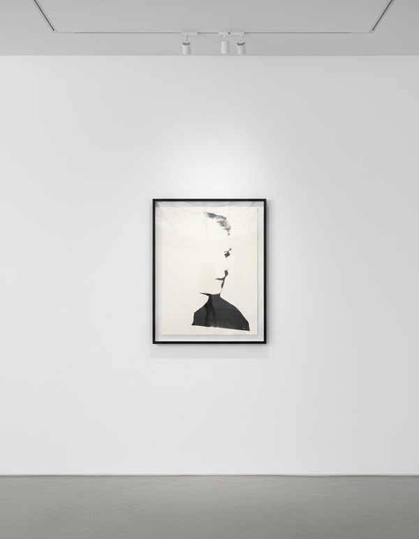 Andy Warhol - Self Portrait F.S. IIIC 25, 1977