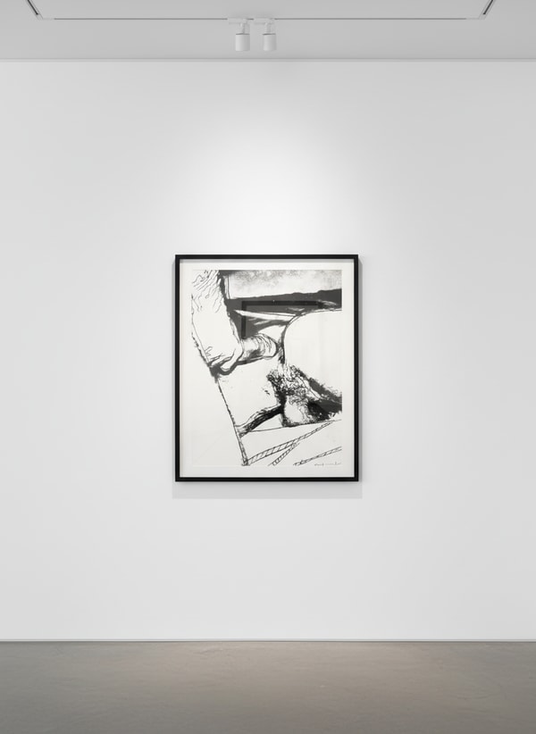 Andy Warhol - Sex Parts (FS II.172), 1978