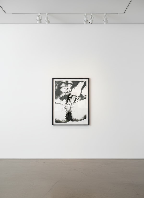 Andy Warhol - Sex Parts (FS II.177), 1978