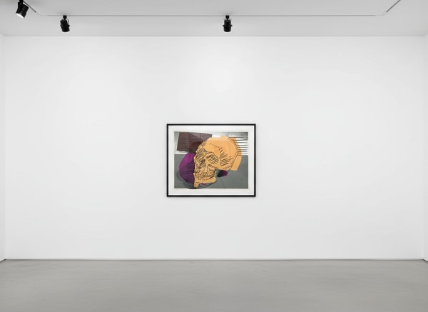 Andy Warhol - Skull F.S. II 157, 1976