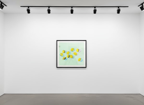 Andy Warhol - Space Fruit: Lemons F.S. II 196, 1978