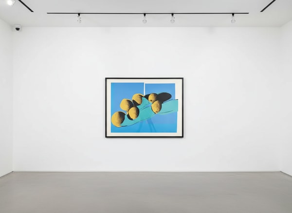 Andy Warhol - Space Fruit: Still Lifes, Cantaloupes F.S. II 201, 1979
