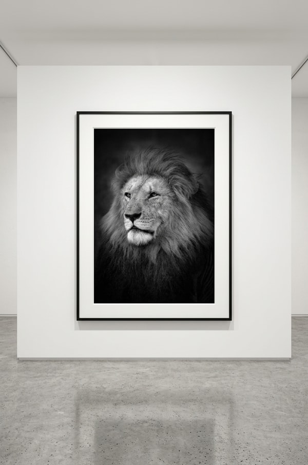 Björn persson - The King, Pigment Print 