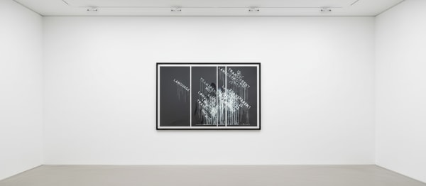 Mel Bochner - Language is Not Transparent, 2017, 13 color Silkscreen in 3 parts