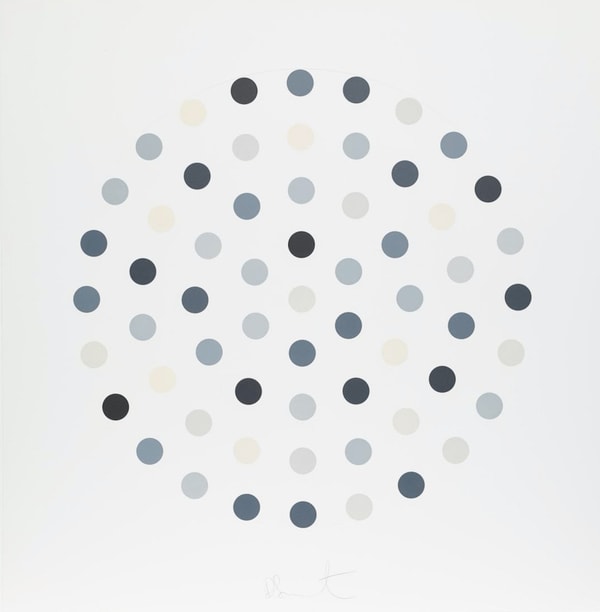 Damien Hirst - Cinchonidine, 2004