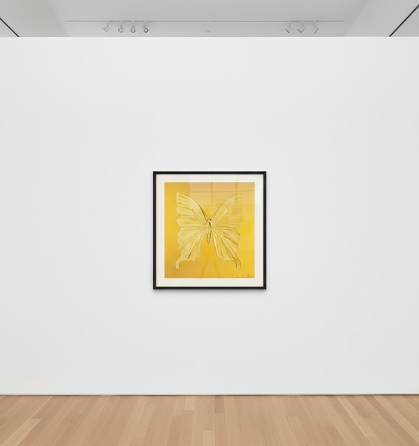 Damien Hirst - Eternal Beauty, 2015