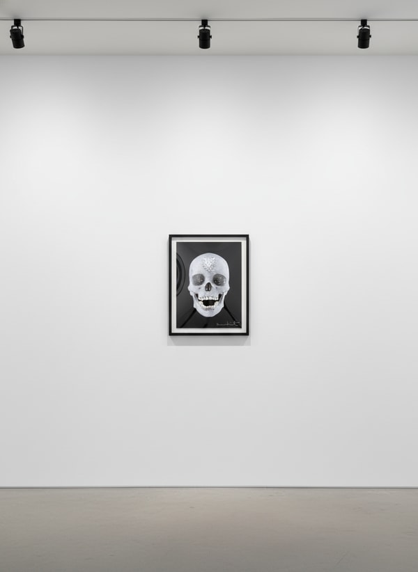 Damien Hirst - For the Love of God, Believe, 2007