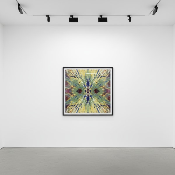 Damien Hirst - H1 -2 Enter The Infinite - Dream, 2016, Jacquard-woven tapestry