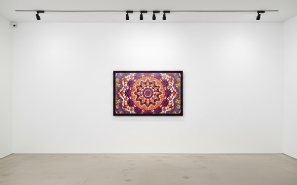 Damien Hirst - H18-1 Harlequin, 2024, Diasec mounted Giclée on aluminium
Signed and numbered