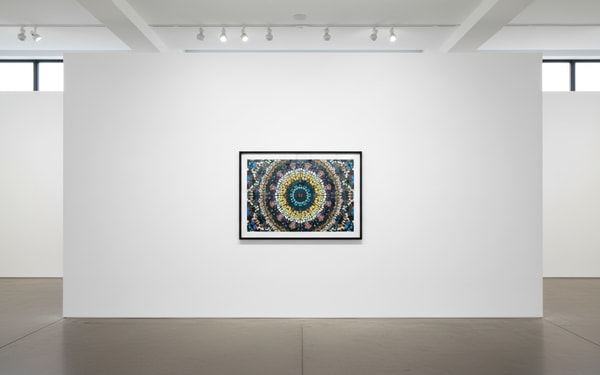 Damien Hirst - H18-3 Psychedelic, 2024, Diasec mounted Giclée on aluminium
Signed and numbered