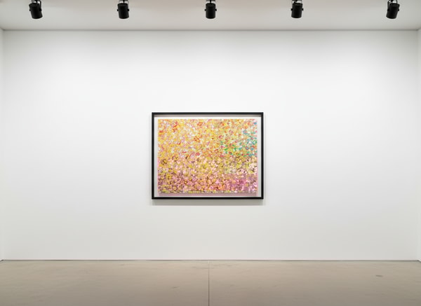 Damien Hirst - H4-3 Garden Of Dreams, 2018, Diasec-mounted Giclée print on aluminium panel