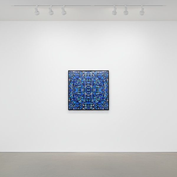 Damien Hirst - H6-2 Grace, 2019, Diasec-mounted Giclée print on aluminium composite panel