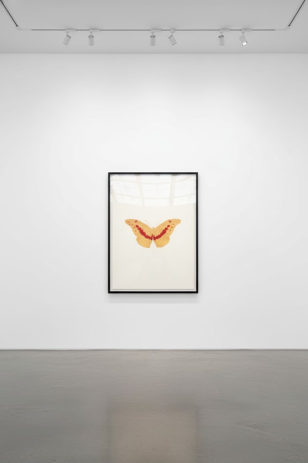 Damien Hirst - I Love You (White, Pink, Cool Gold, Poppy Red), 2015, Silkscreen and 2 colour foil block on Somerset Satin ...