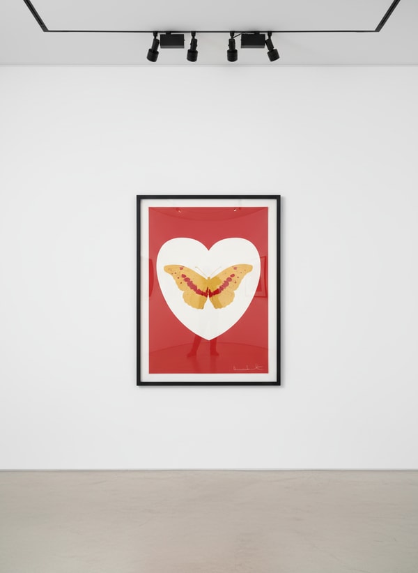 I Love You (White, Red, Cool Gold, Poppy Red)