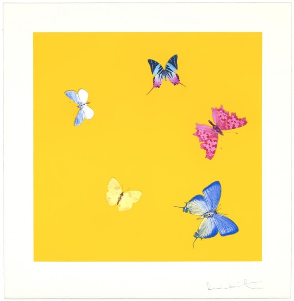 Damien Hirst - Love Poems (Sweet Disorder), 2014