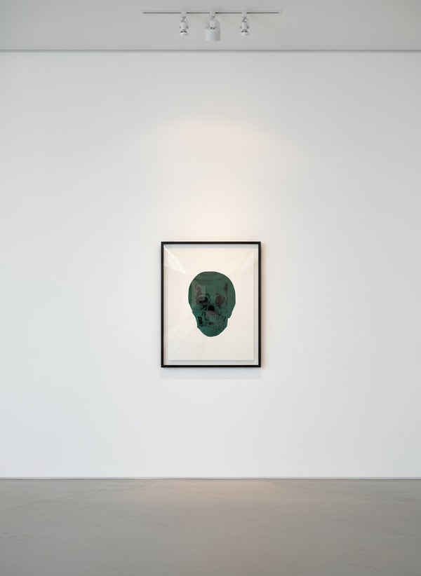 Damien Hirst - Racing Green/Raven Black Skull, 2009