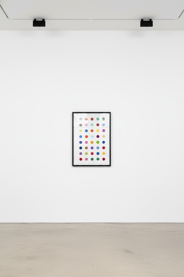 Damien Hirst - Ribonolactone, 2011, Woodcut