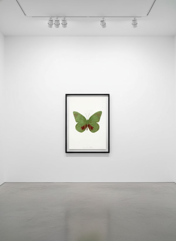 Damien Hirst - Souls I (Leaf Green , Chili Red)