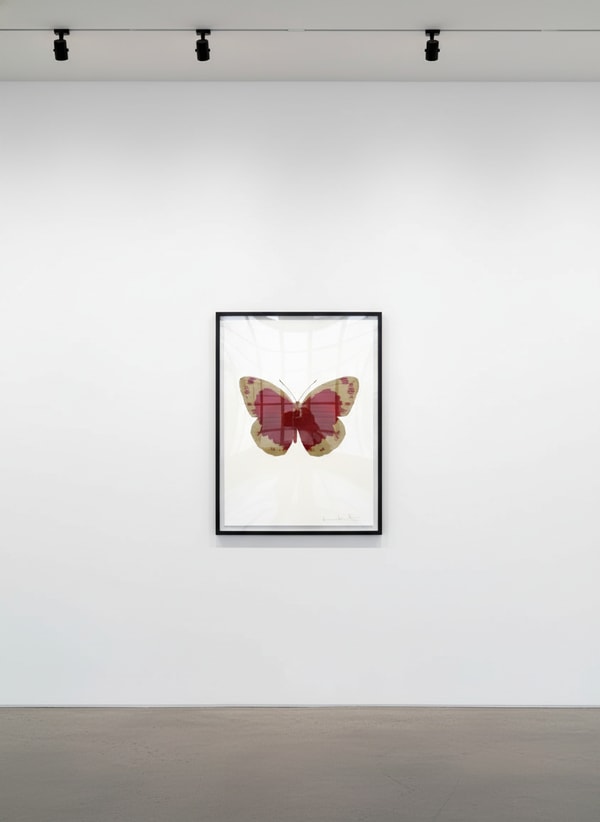 Damien Hirst - Souls II (Chili Red / Cool Gold), 2010
