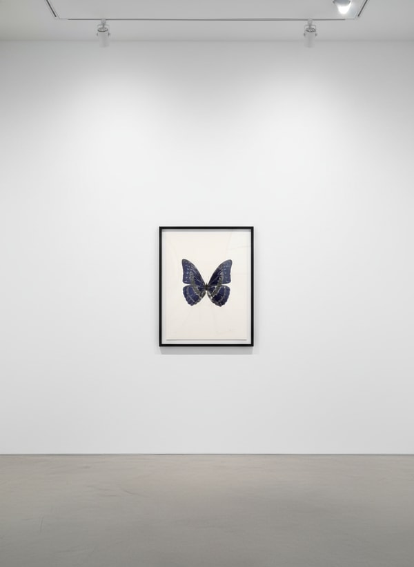 Damien Hirst - Souls III (Imperial Purple/Silver), 2010, Two color foil block print