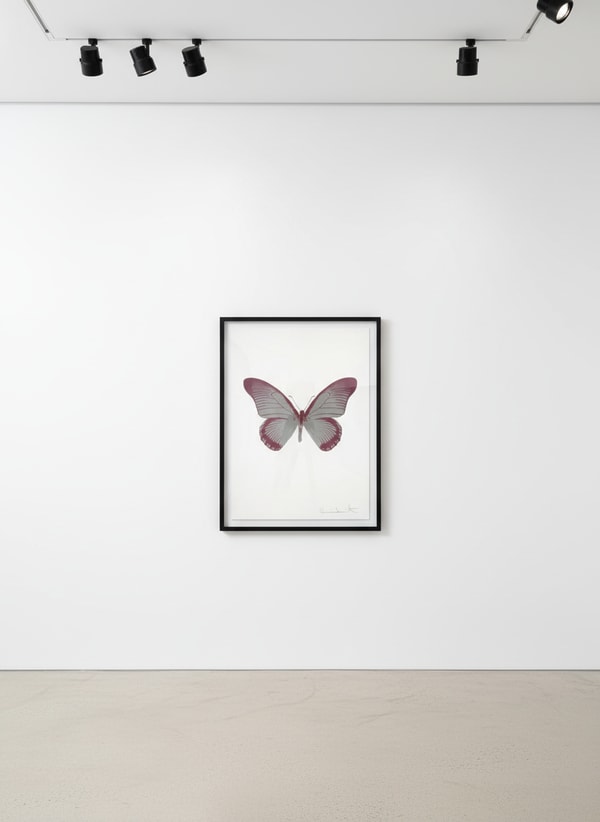 Damien Hirst - Souls IV (Silver Gloss, Loganberry Pink), 2010, Two color foil block print