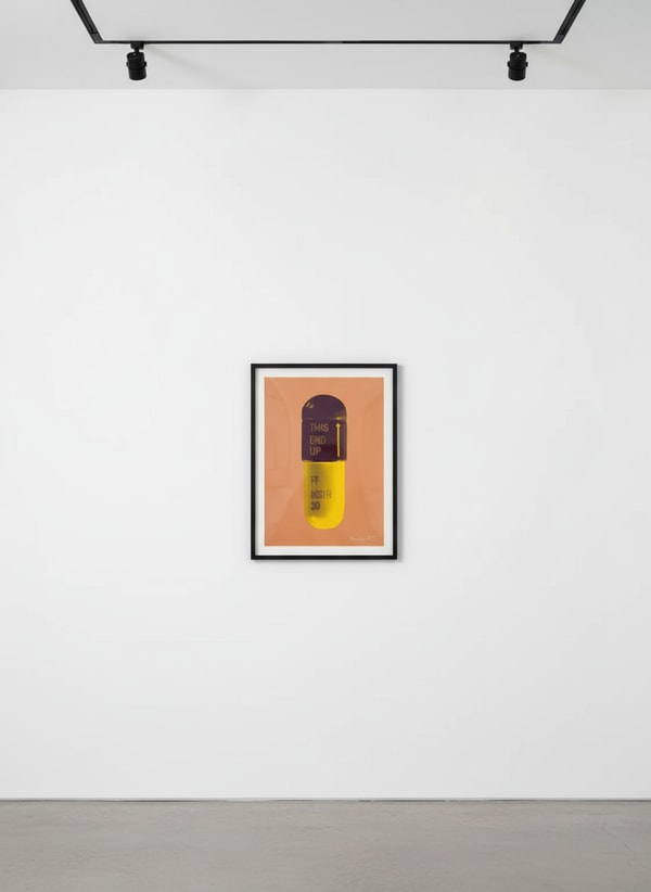 Damien Hirst - The Cure (Caramel/Grape/Mustard), 2014