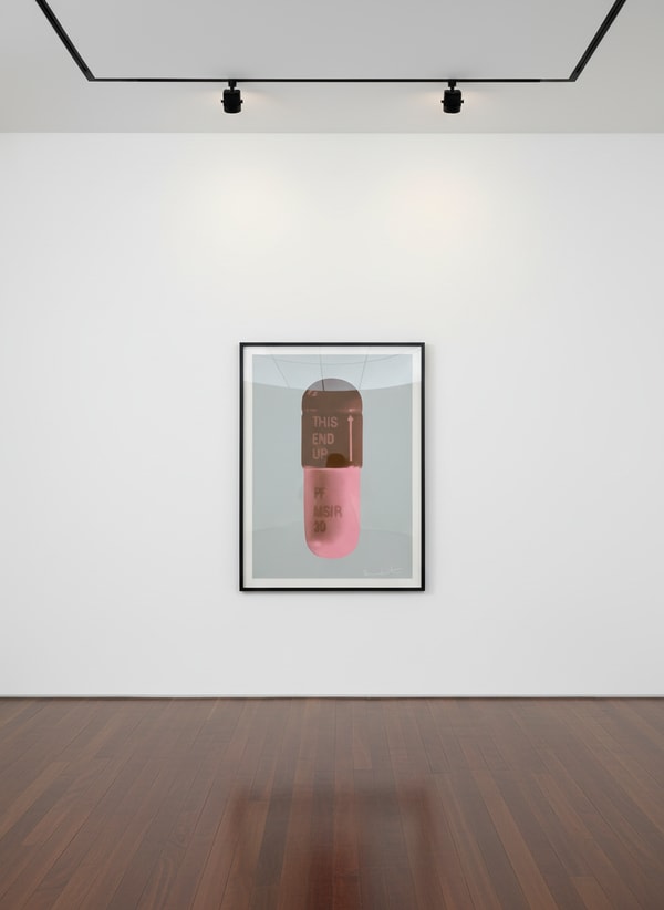 Damien Hirst - The Cure (Frigate/Chocolate/Rose Pink), 2014, Silkscreen on Somerset Tub Sized 410gsm