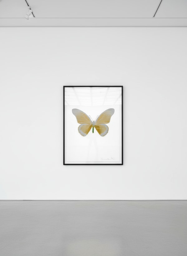 Damien Hirst - The Souls IV - Westminster Blue/Cool Gold/Topaz,, 2010, 3 colour foil block on 300gsm Arches 88 archival pa...