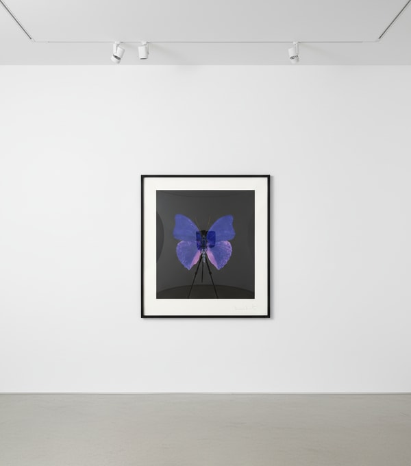 Damien Hirst - The Souls on Jacob's Ladder Take Their Flight (AP), 2007, Etching