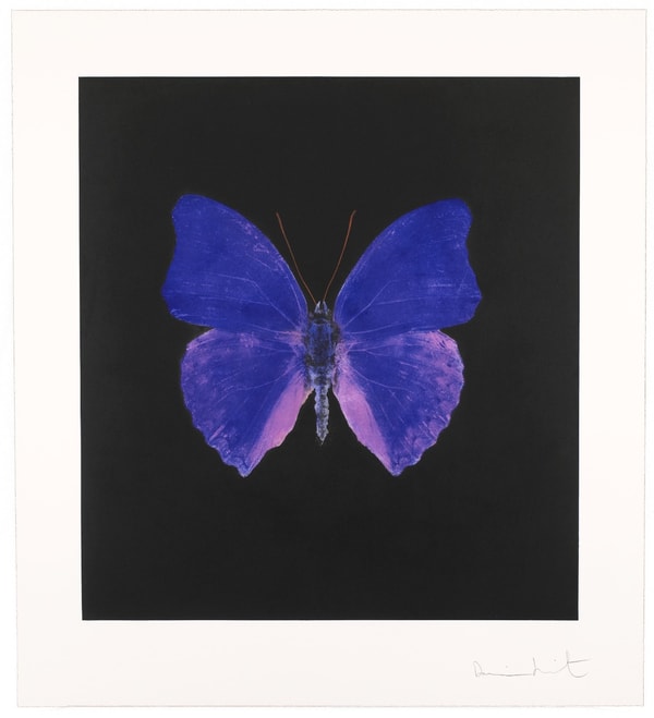 Damien Hirst - The Souls on Jacob's Ladder Take Their Flight (AP), 2007