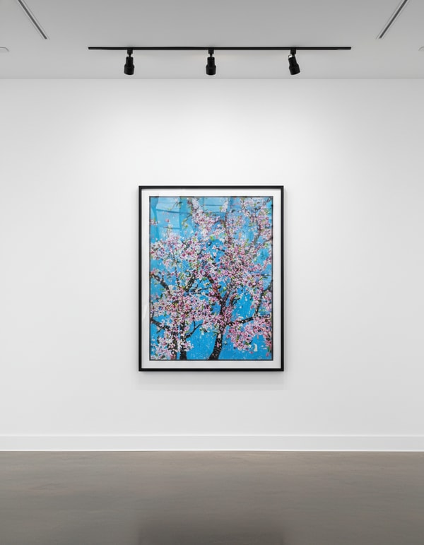 Damien Hirst - The Virtues Politeness H9-4, 2021, Laminated Giclée print on aluminium composite panel