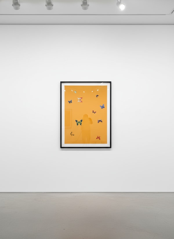 Damien Hirst - The Wonder Of You (Your Beauty), 2015, Polymer-gravure etching with lithographic overlay