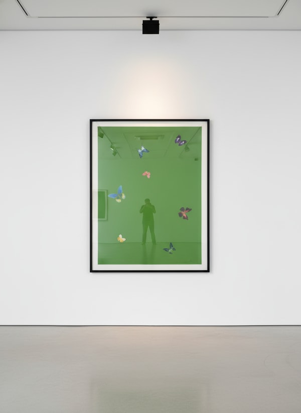 Damien Hirst - The Wonder Of You (Your Taste), 2015, Polymer-gravure etching with lithographic overlay