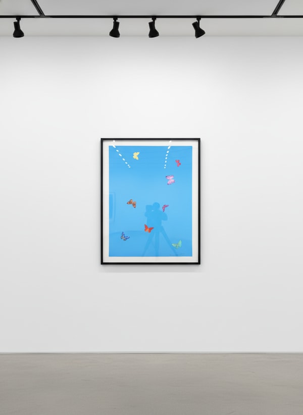 Damien Hirst - The Wonder Of You (Your Touch), 2015, Polymer-gravure etching with lithographic overlay