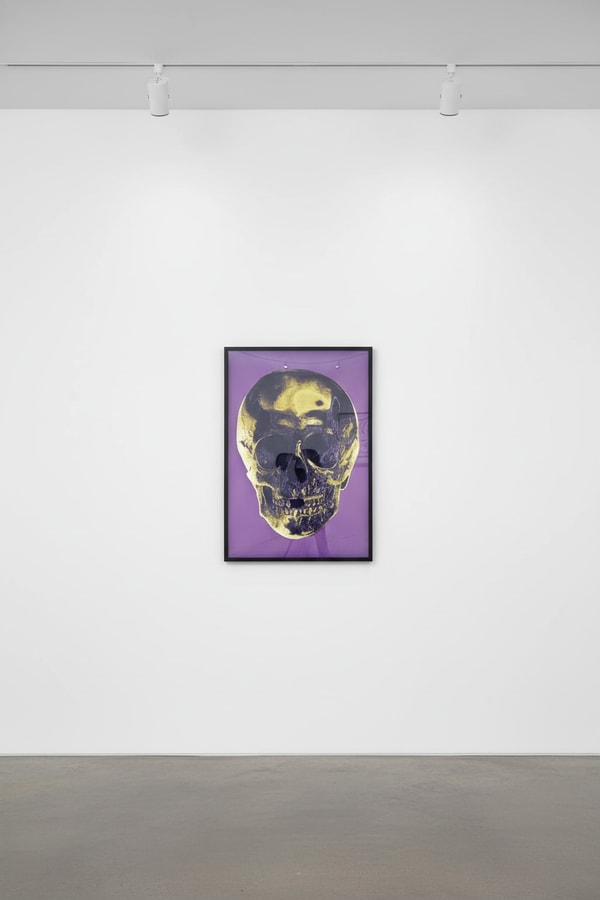 Damien Hirst - Till Death Do Us Part (royal purple/gold), 2012, Silkscreen