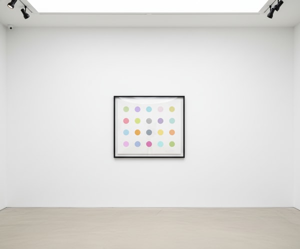 Damien Hirst - Vespula Vidua, 2011, Silkscreen
