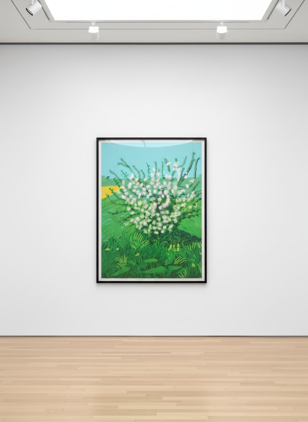 David Hockney - 30 April From 'The Arrival of Spring in Woldgate', 2011