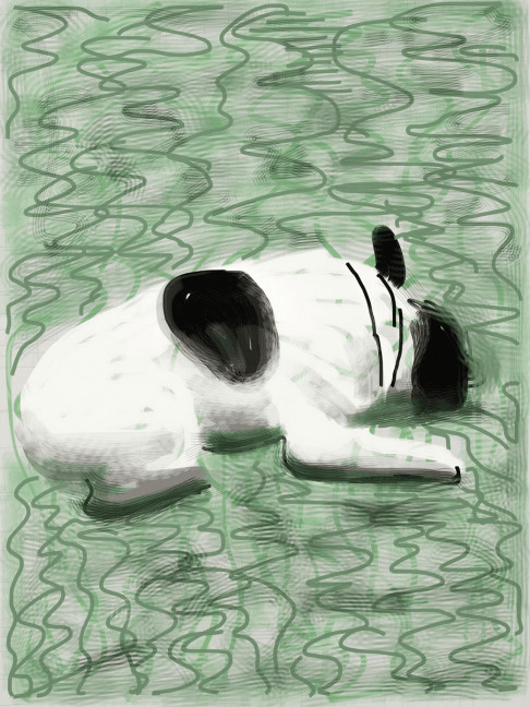 David Hockney - Moujik, 2010