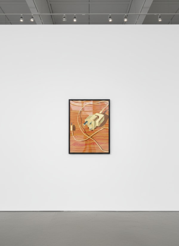 David Hockney - Plug, 2011, iPad drawing