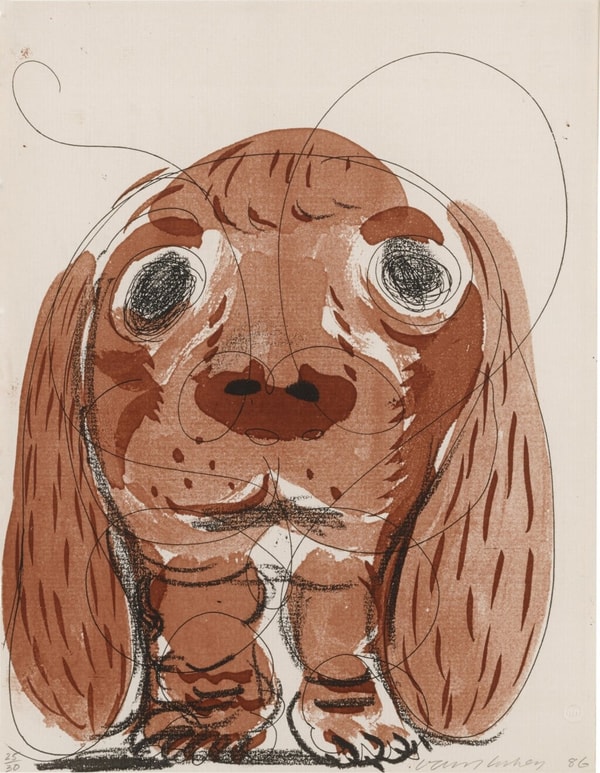 David Hockney - Stanley at 8 weeks, 1986