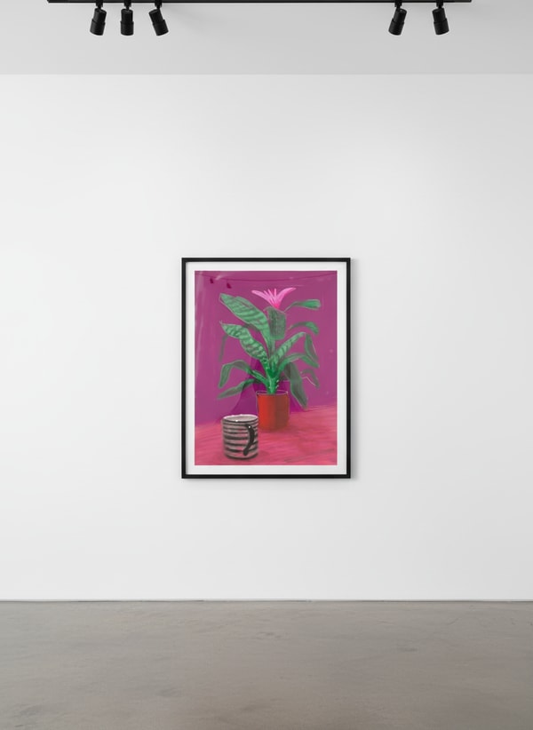 David Hockney - Striped Mug, 2010, iPad drawing printed on paper