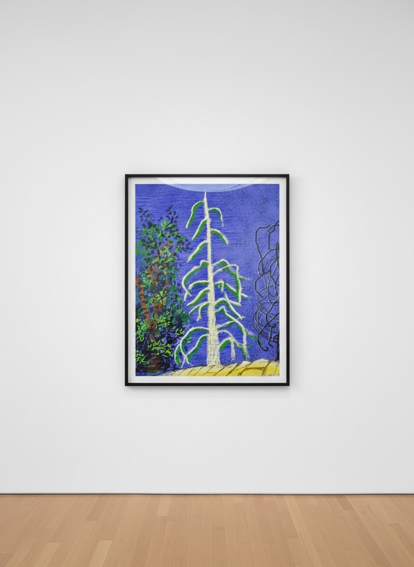 The Yosemite Suite No. 14