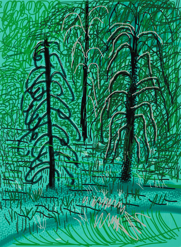 David Hockney - The Yosemite Suite No. 16, 2010