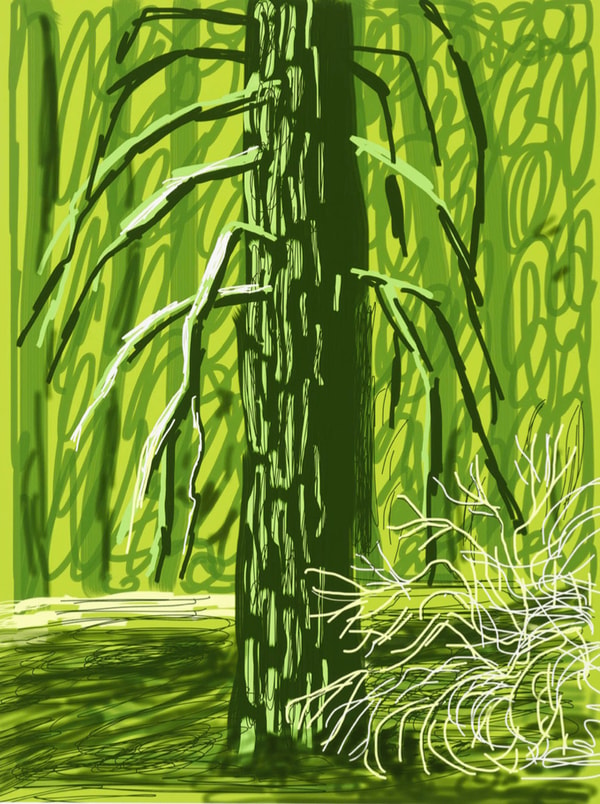 David Hockney - The Yosemite Suite No. 18, 2010