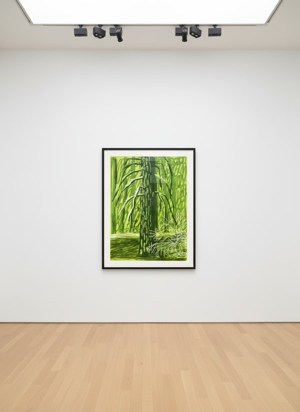 The Yosemite Suite No. 18